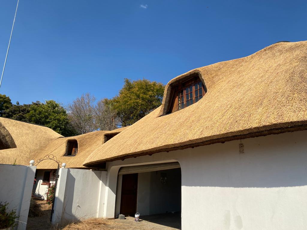 WhatsApp Image 2022-10-04 at 11.26.52 (2)