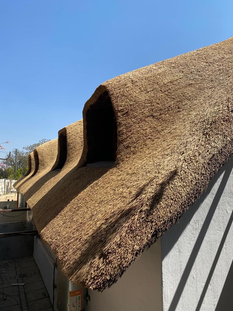 WhatsApp Image 2022-10-04 at 11.26.53 (4)